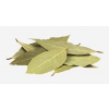 Bay Leaf