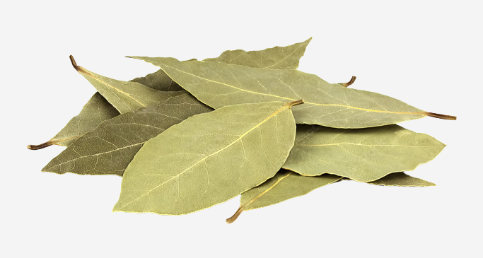 1000_F_191826603_SH6qxkyDUHMIRT3rS8u32vKUxGtprCnA-removebg-preview Bay Leaf