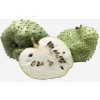 Soursop Fruit