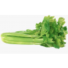 Celery