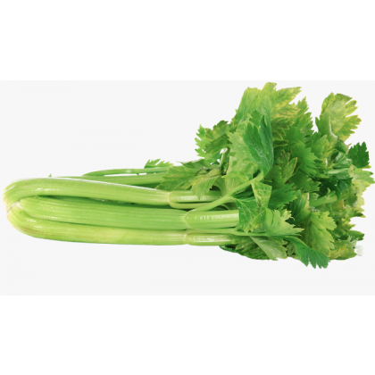 Celery