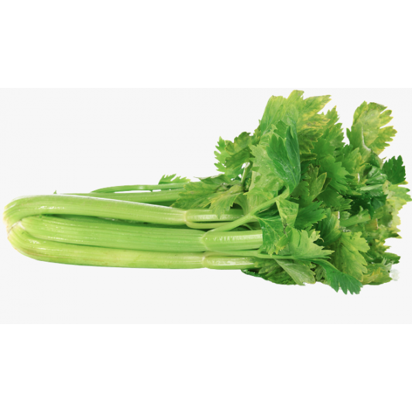 Celery