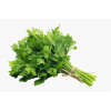 Parsley