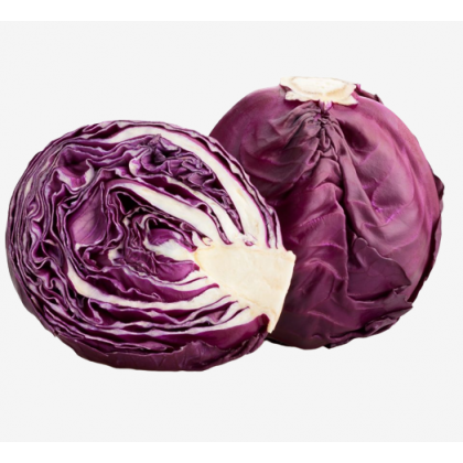 Red Cabbage