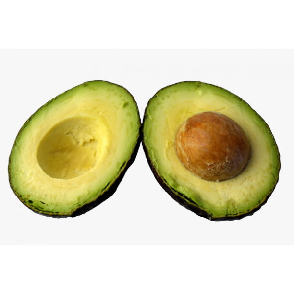 Cameroon Avocado