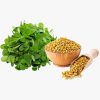 Fenugreek