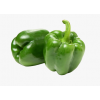 Green Bell Pepper