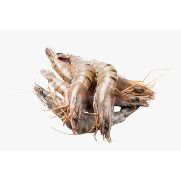 Tiger Prawns